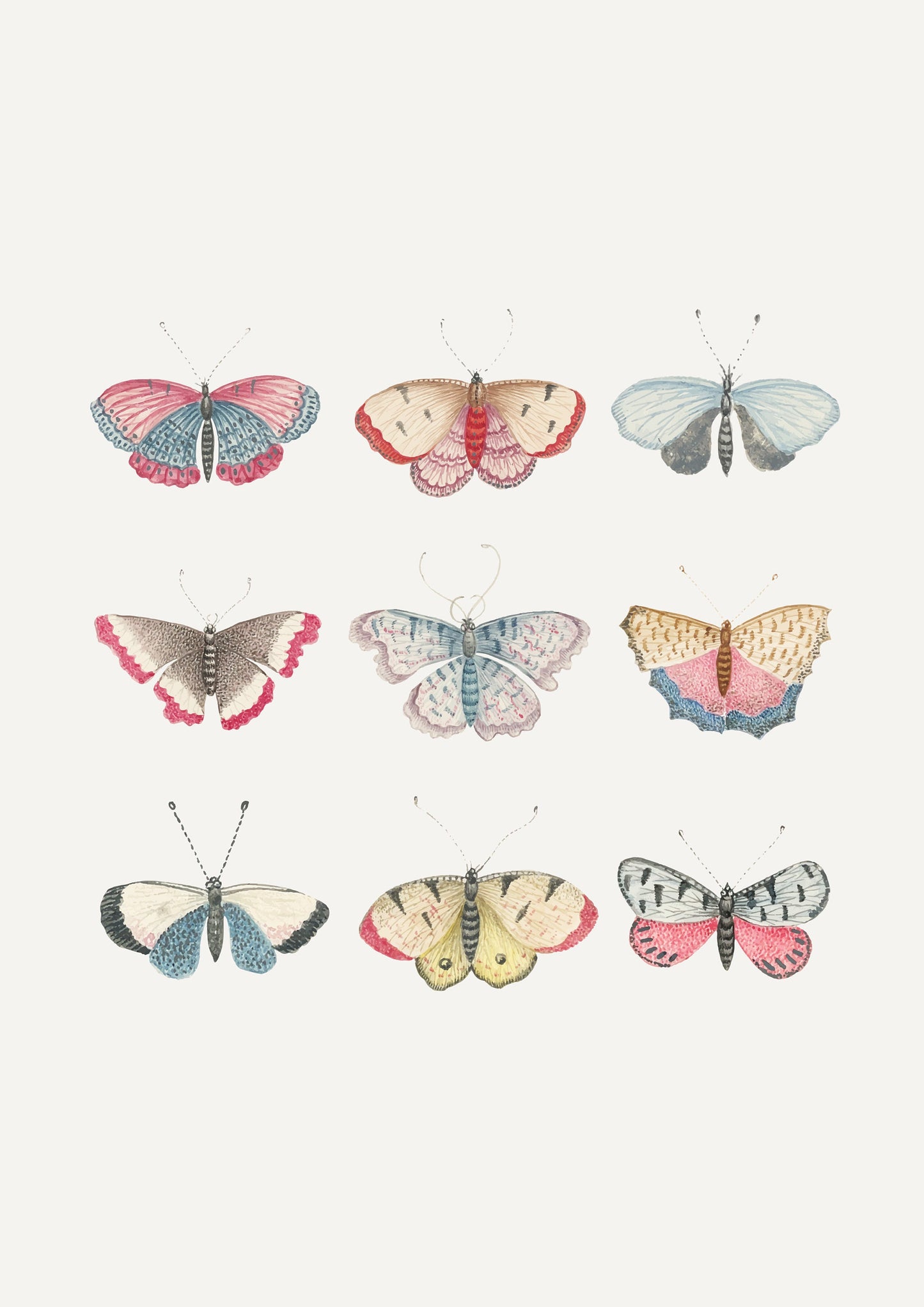 Vintage Butterfly Print: Pastel Antique Wall Art