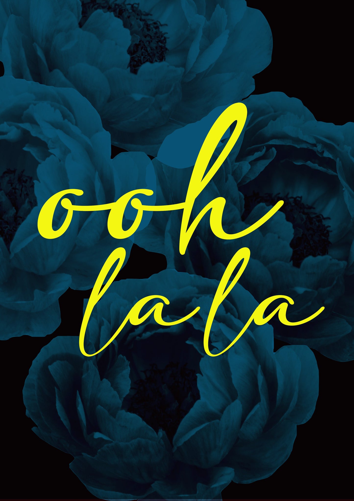 Ooh La La Floral Quote Print: Modern Home Decor