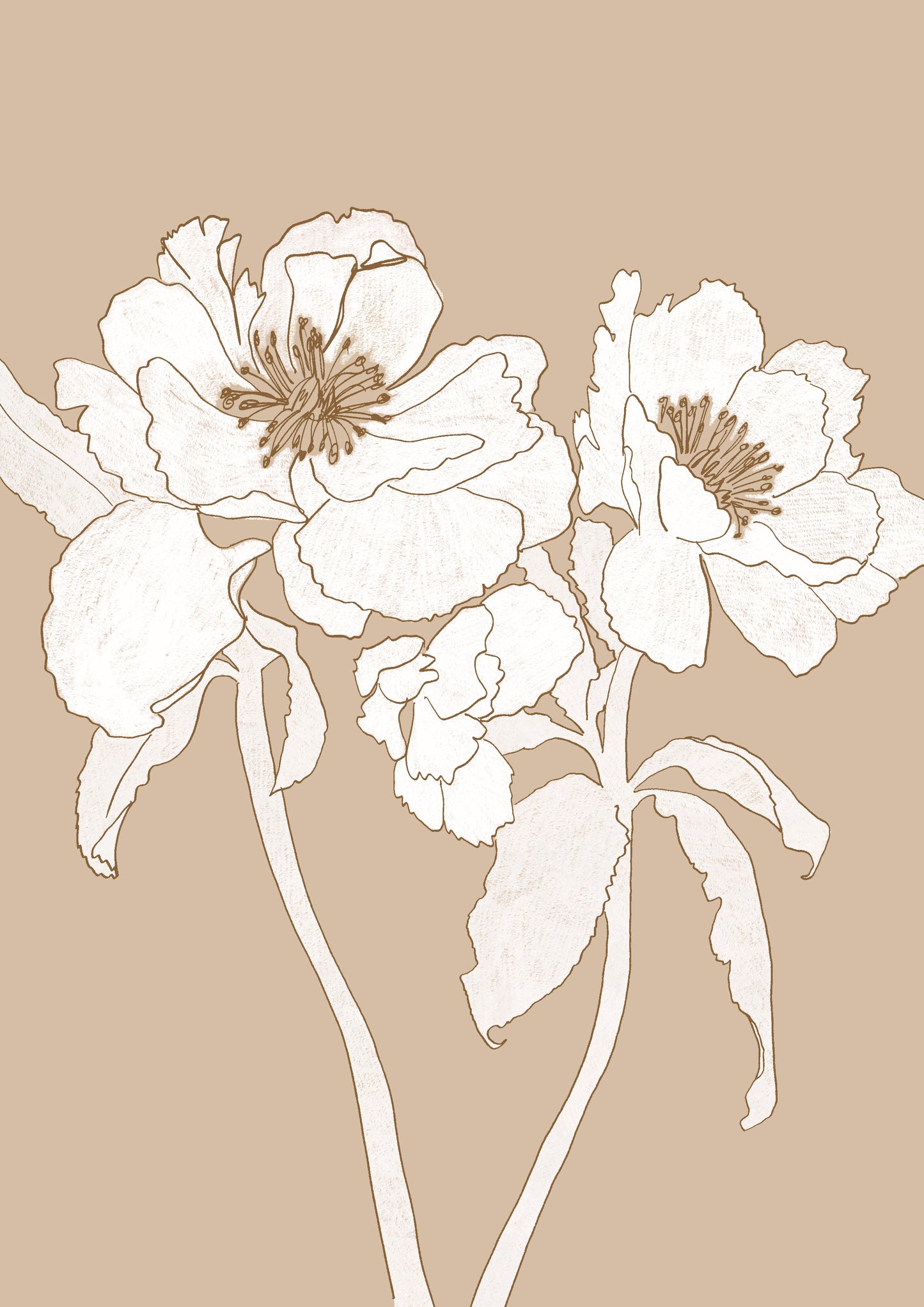 Monotone Neutral Botanical Line Art Print