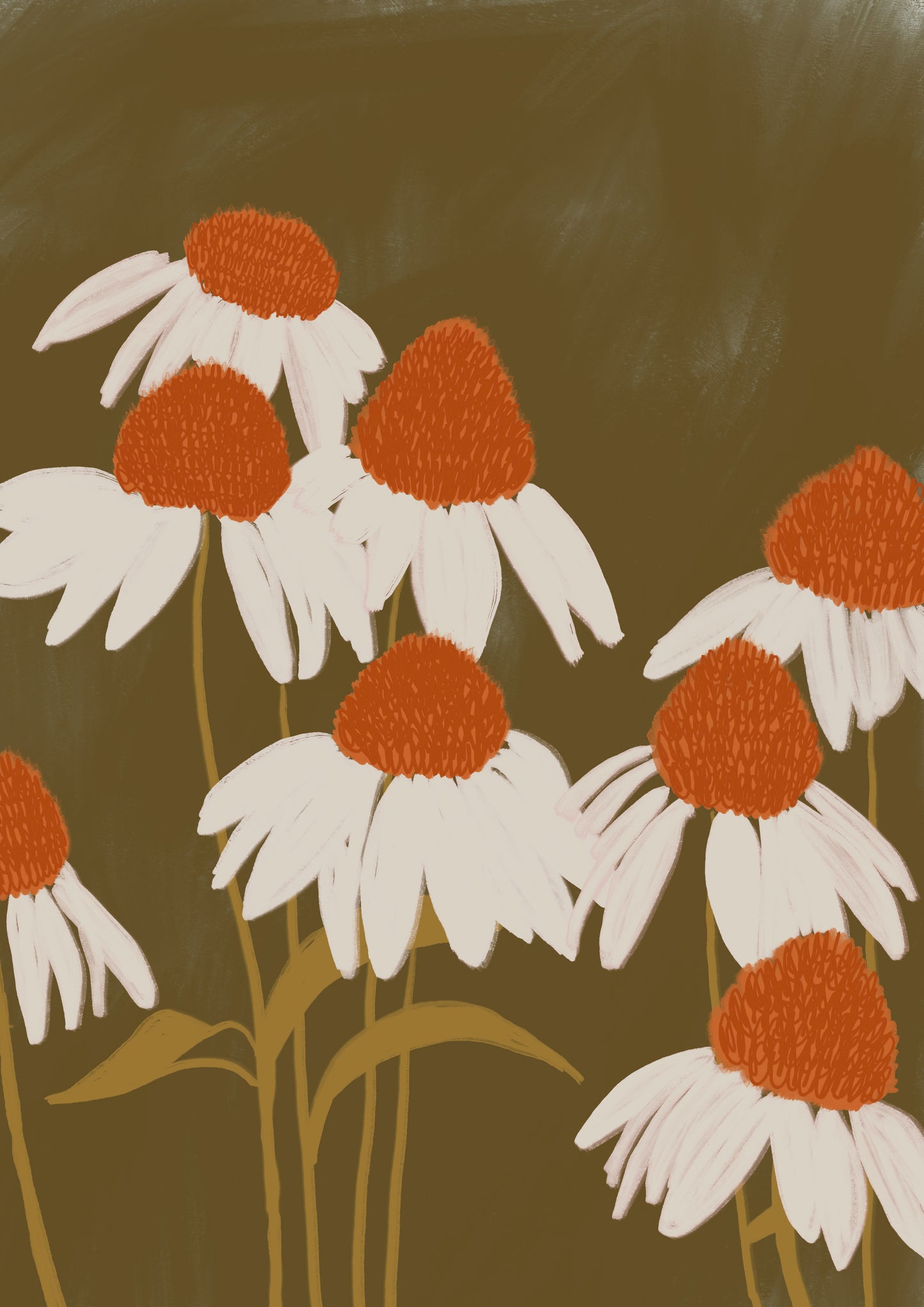 White Echinacea Bloom Print
