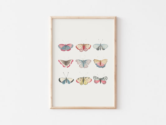 Vintage Butterfly Print: Pastel Antique Wall Art