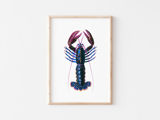 Lobster Art Print: Marine Sealife Poster, Kitchen Decor