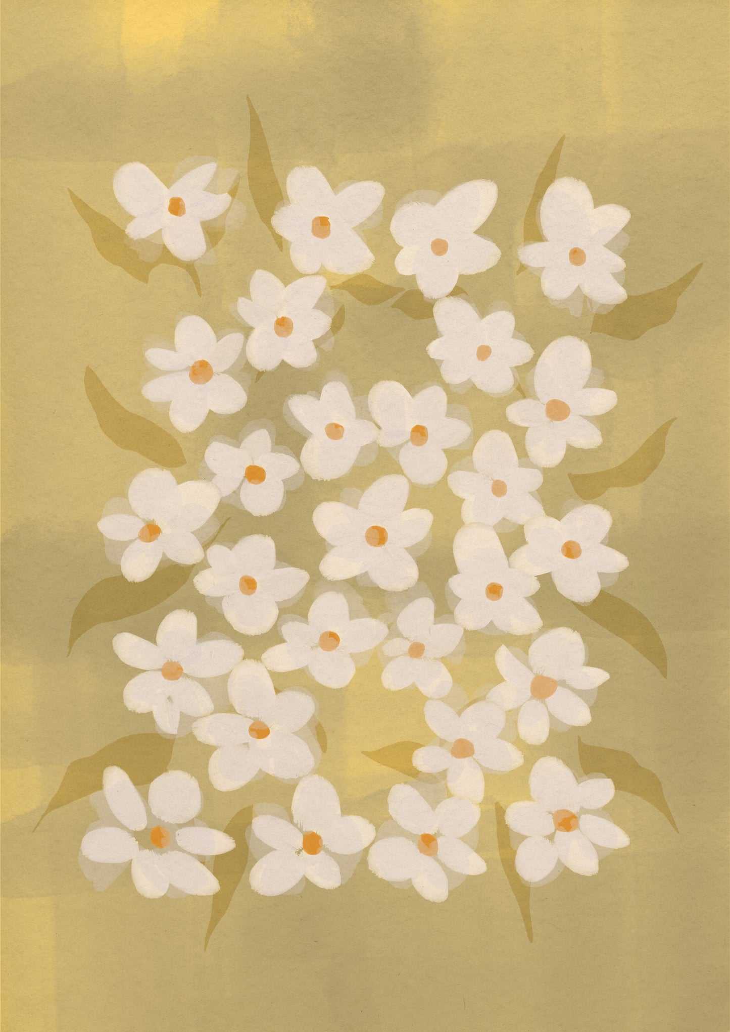 White Daisy Floral Pattern Print
